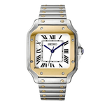 Watch Mod - Seiko Mod Santos | Silver