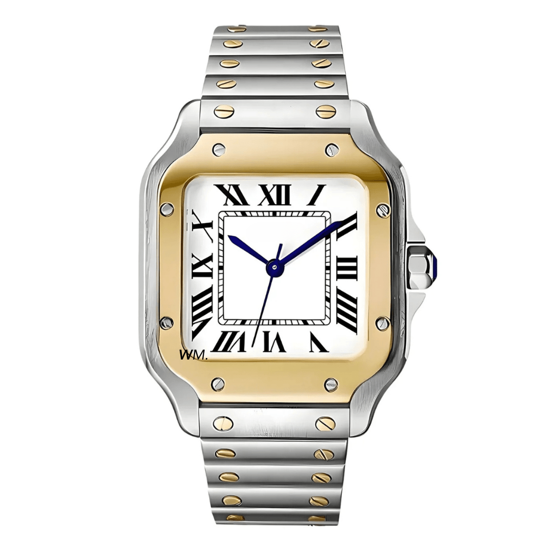 WATCH MOD SANTEIKO | TWO TONE